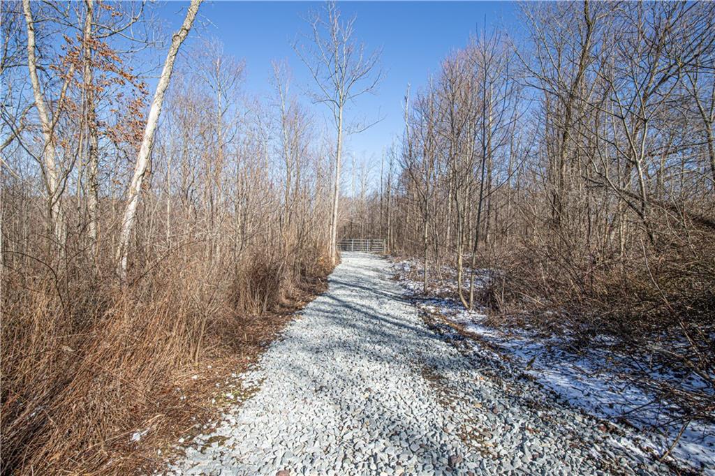 253 Bell Grove Road Ohiopyle, PA 15470 - Photo 2 of 8 Gallery Image 2