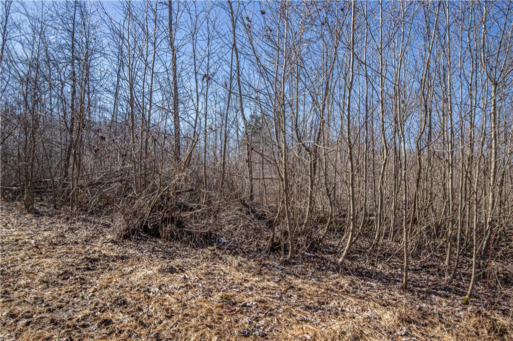 253 Bell Grove Road Ohiopyle, PA 15470 - Photo 5 of 8 Gallery Image 5