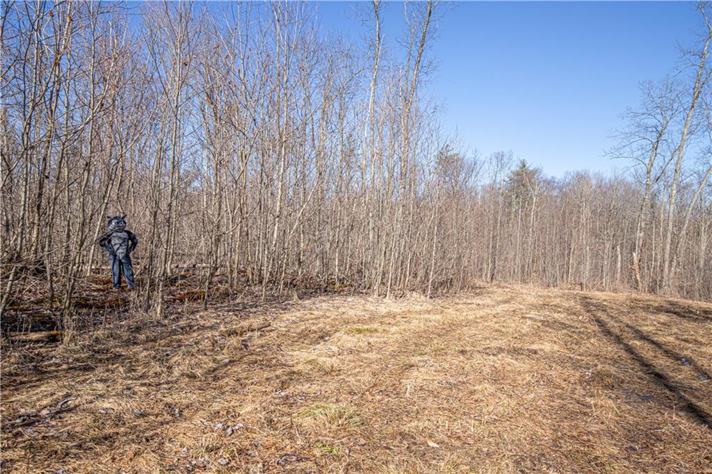 253 Bell Grove Road Ohiopyle, PA 15470 - Photo 6 of 8 Gallery Image 6