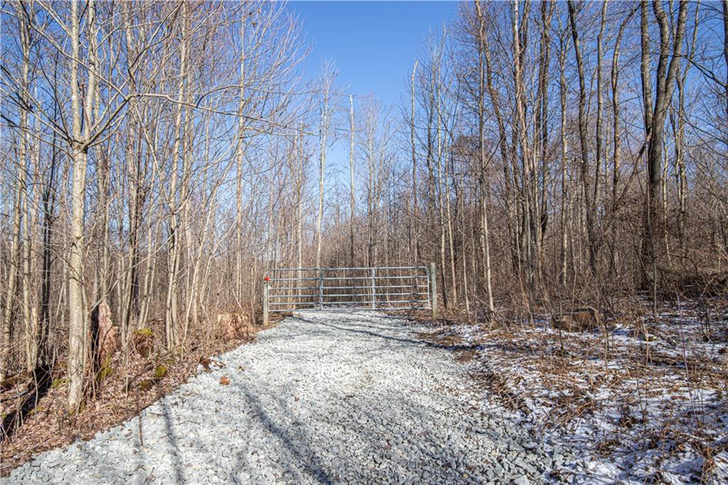 253 Bell Grove Road Ohiopyle, PA 15470 - Photo 8 of 8 Gallery Image 8