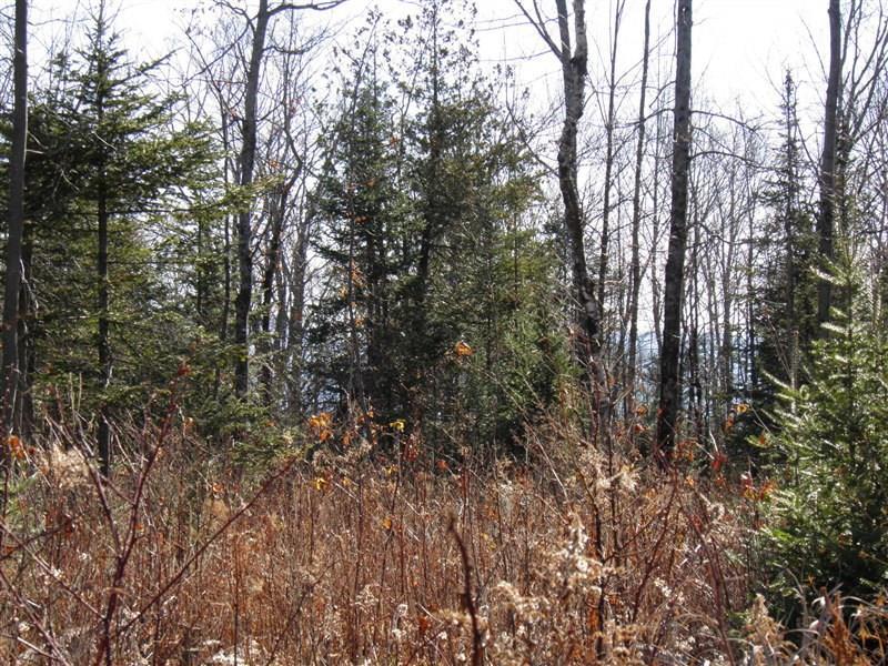 1200 Soule Road Phillips, ME 04966 - Photo 17 of 25 Photo