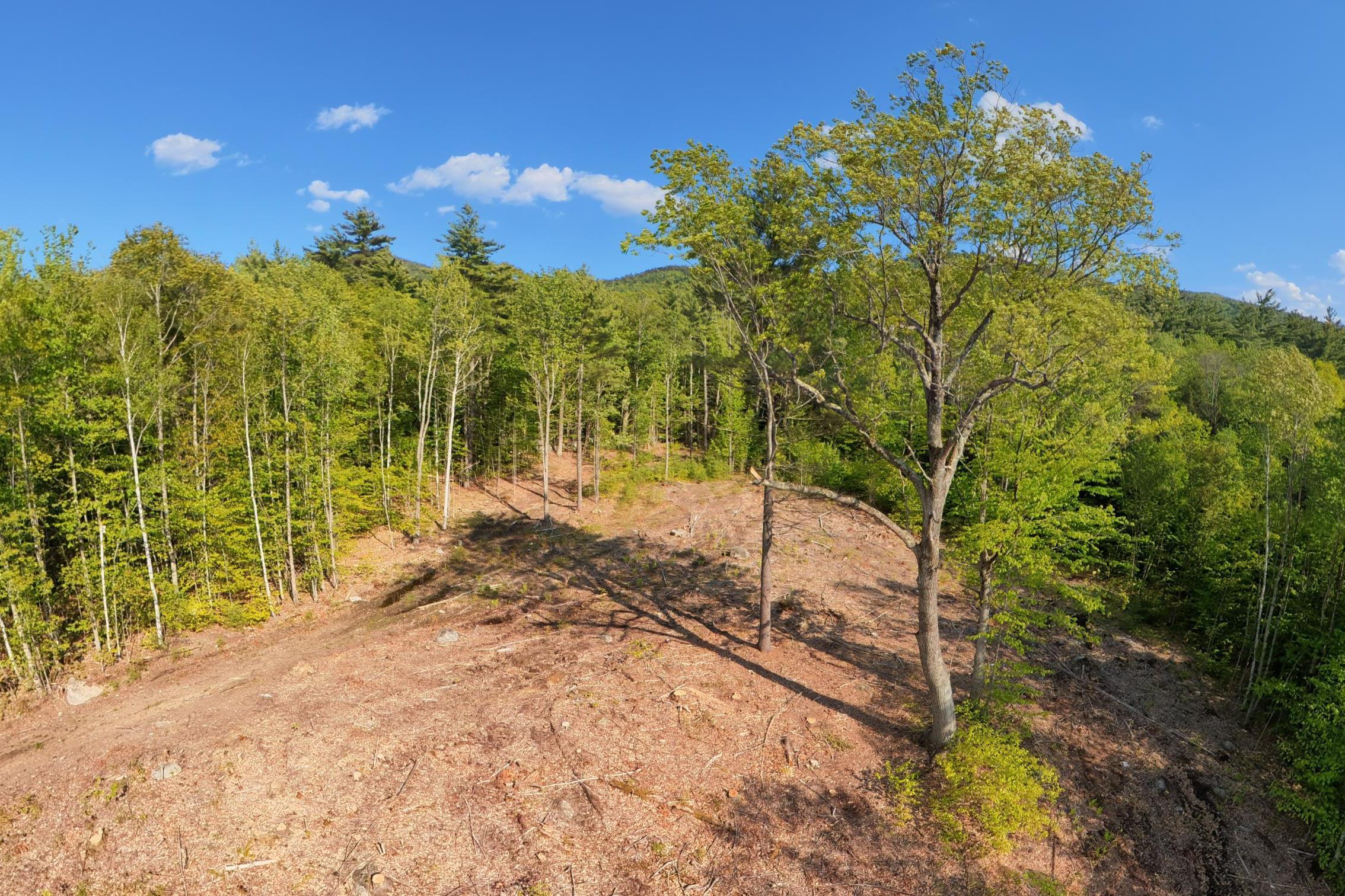 0 Taterboro Road Sandwich, NH 03227 - Photo 4 of 27