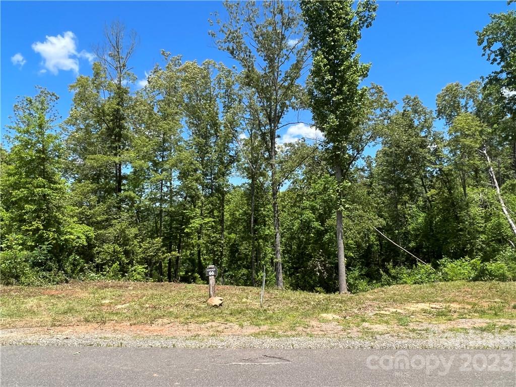 0 River Club Drive, Unit 66 Cullowhee, NC 28723 - Photo 6 of 16