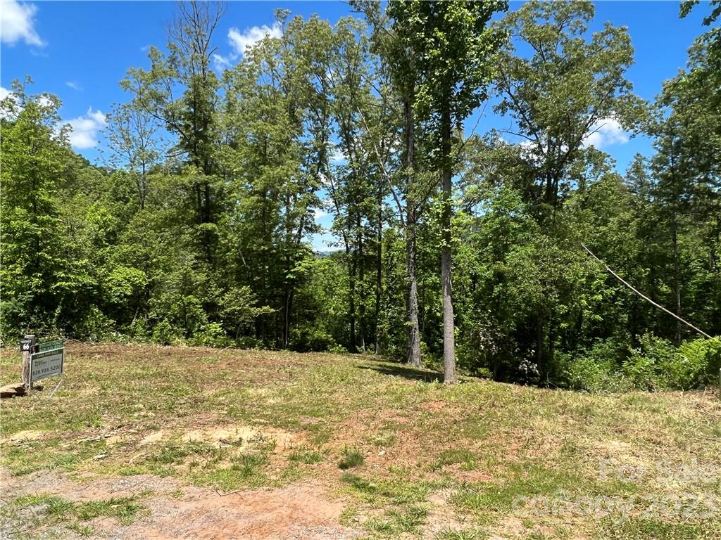 0 River Club Drive, Unit 66 Cullowhee, NC 28723 - Photo 7 of 16