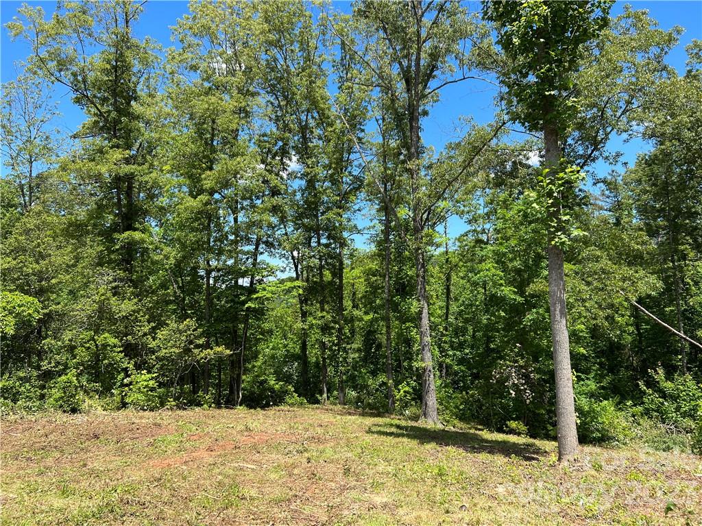 0 River Club Drive, Unit 66 Cullowhee, NC 28723 - Photo 8 of 16