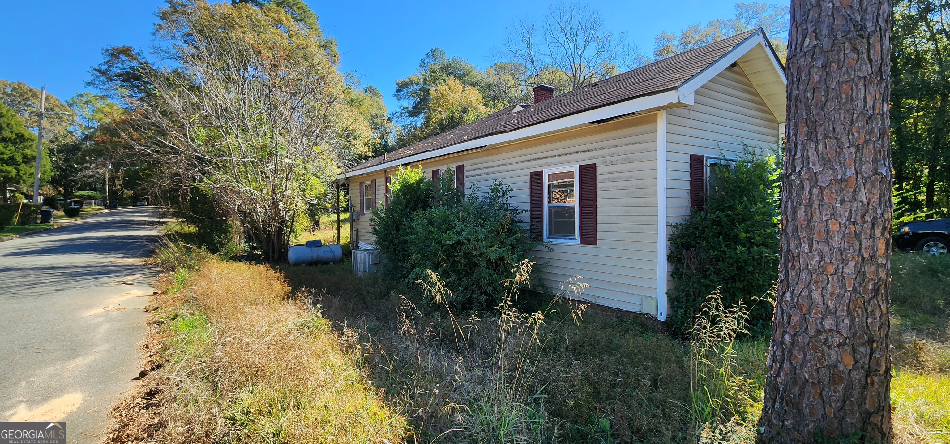 433 Mayo Street Americus, GA 31709 - Photo 7 of 9 a yellow house with flower garden in front of it