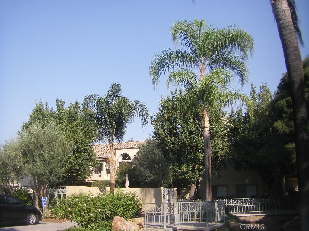 a front view of a house with a yard and palm trees
