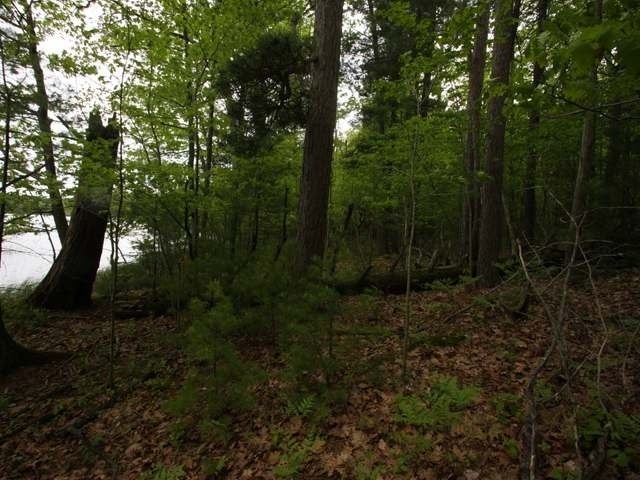 1-2 Satuit Lane Rhinelander, WI 54501 - Photo 13 of 15 Gallery Image 13