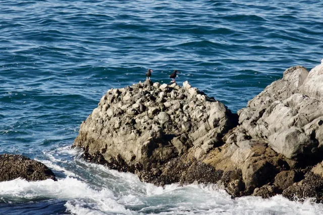 $2,975,000 | 33755 Yardarm Drive, The Sea Ranch, CA 95497