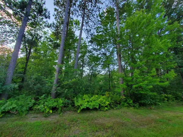 $72,000 | Tbd Red Fern Trail, Brainerd, MN 56401