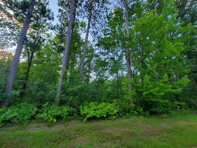 $72,000 | Tbd Red Fern Trail, Brainerd, MN 56401