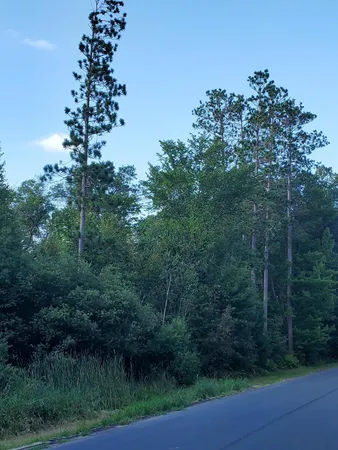 $72,000 | Tbd Red Fern Trail, Brainerd, MN 56401