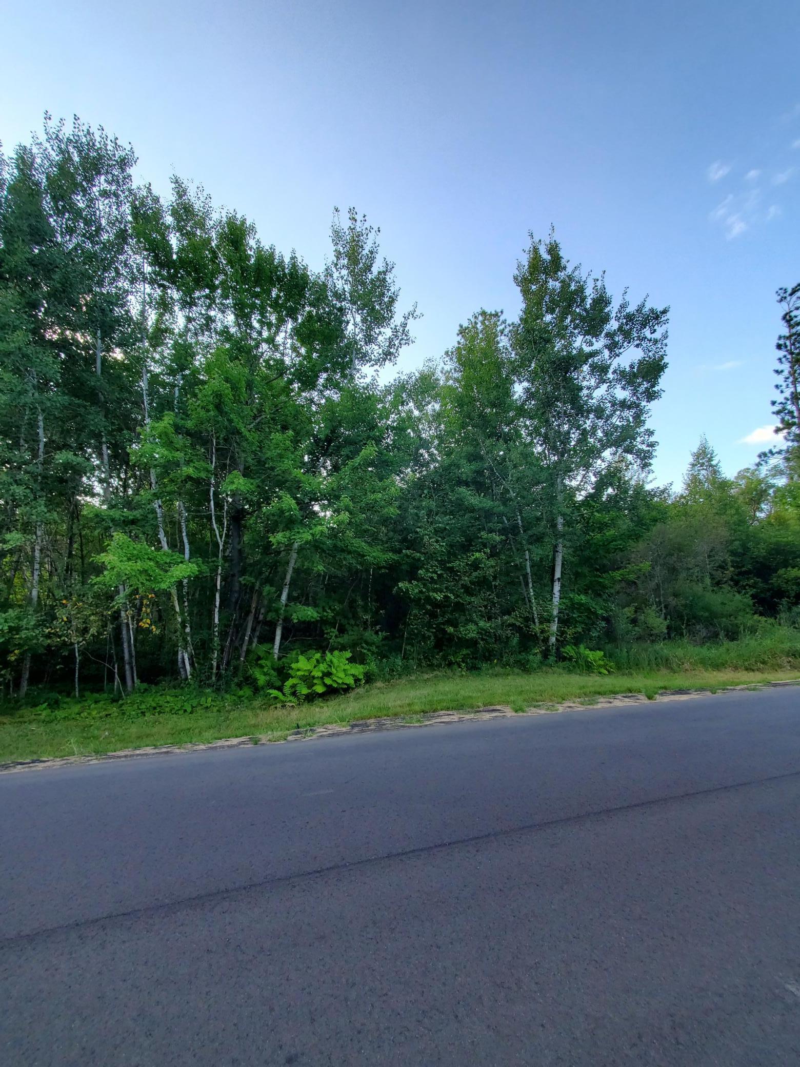 Tbd Red Fern Trail Brainerd, MN 56401 - Photo 3 of 3