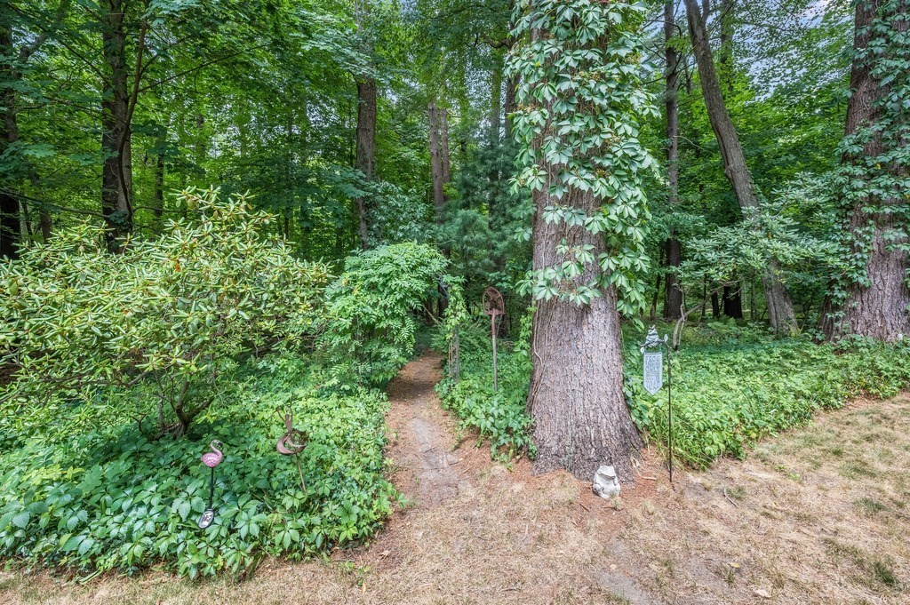 14 Mitchell Road Lynnfield, MA 01940 - Photo 35 of 36 a view of a pathway both side of yard