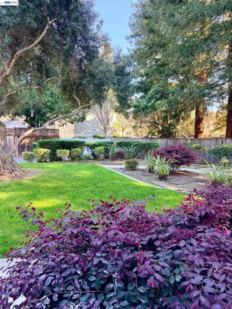 $619,888 | 38508 Mary Terrace, Unit 4, Fremont, CA 94538