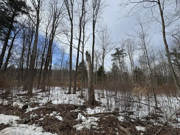 $95,000 | 17 Chamberlain Drive, Salisbury, VT 05769