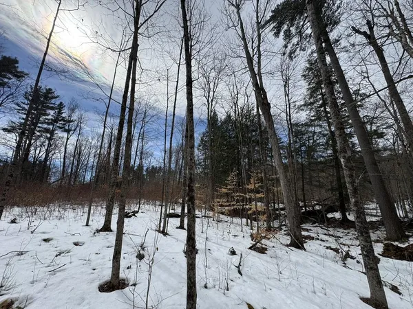 $95,000 | 17 Chamberlain Drive, Salisbury, VT 05769