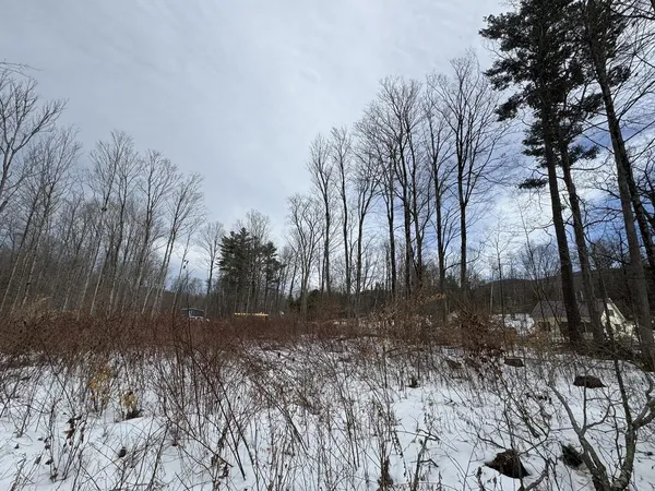 $95,000 | 17 Chamberlain Drive, Salisbury, VT 05769