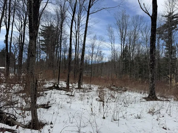 $95,000 | 17 Chamberlain Drive, Salisbury, VT 05769