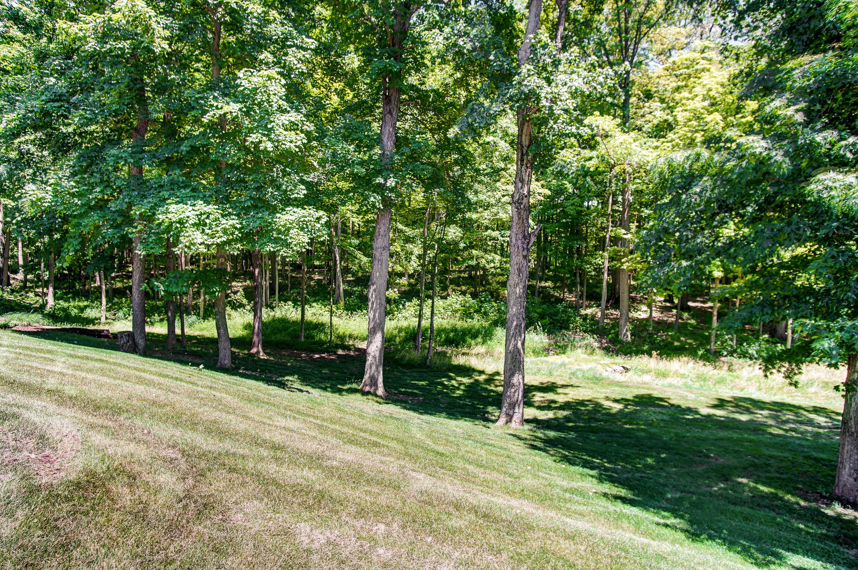 7785 Plumb Road Galena, OH 43021 - Photo 95 of 105
