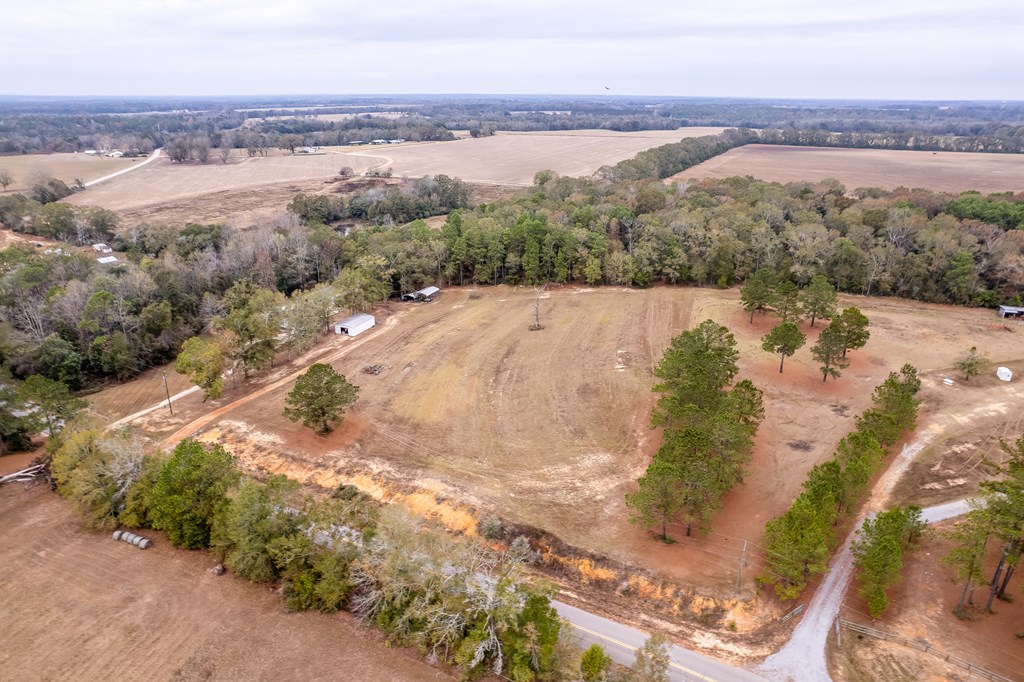 1638 Goose Hollow Road Geneva, AL 36340 - Photo 69 of 74