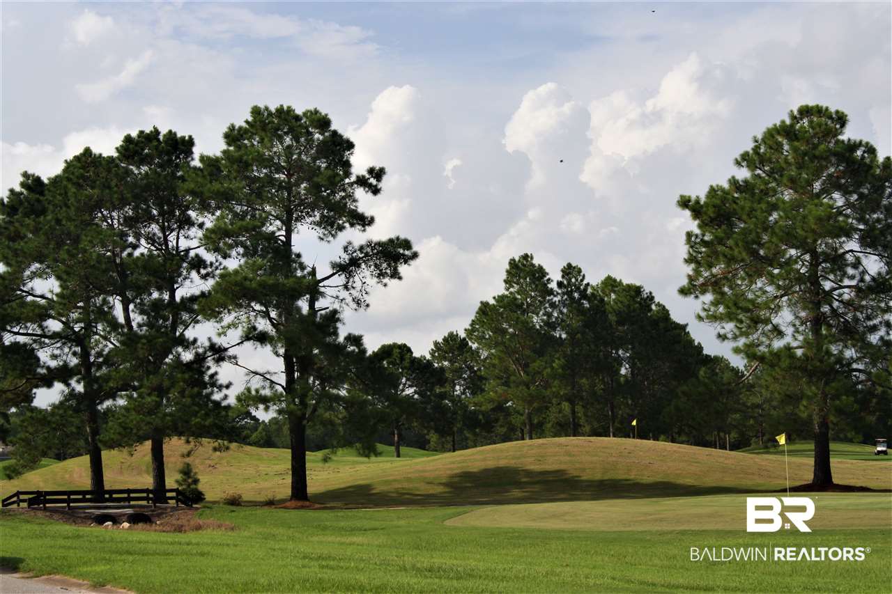 22500 Inverness Way Foley, AL 36535 - Photo 44 of 50