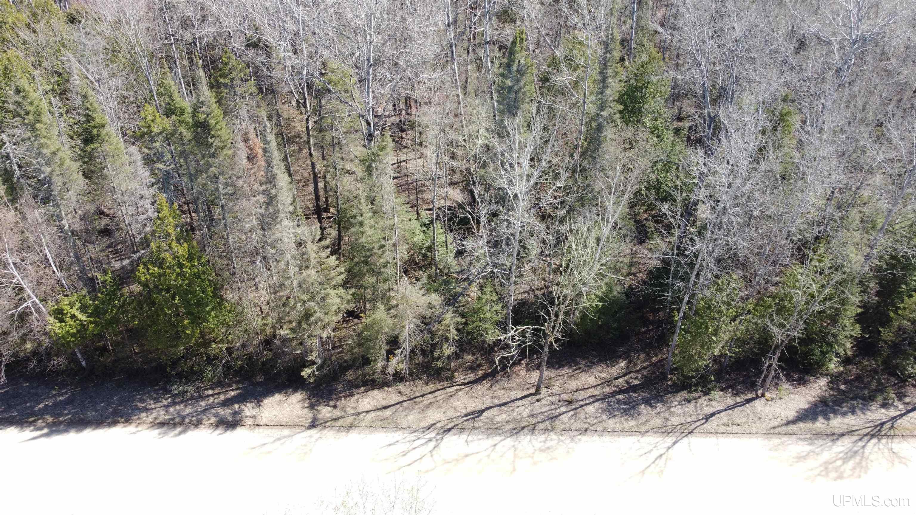 Tbd East Cold Springs Road Chatham, MI 49816 - Photo 3 of 8