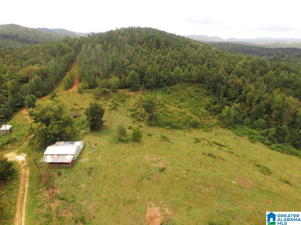 796 Alawashky Road, Unit 46 ACRES Ashland, AL 36251 - Photo 4 of 17