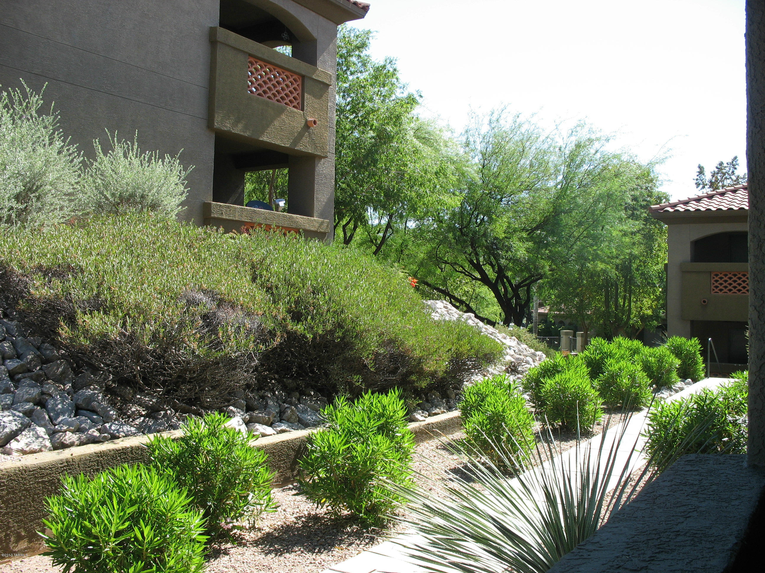 5751 North Kolb Road, Unit 6103 Tucson, AZ 85750 - Photo 7 of 17