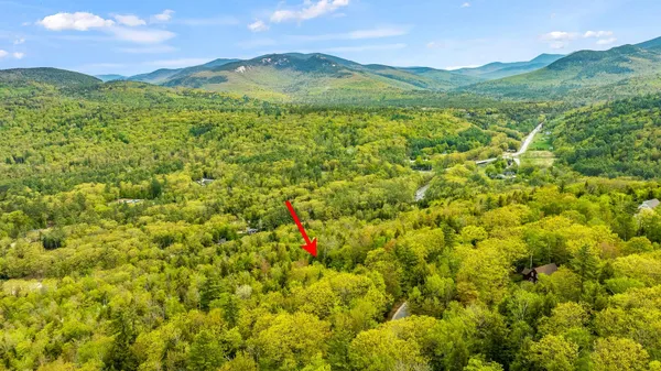 $1,750,000 | 11 Weeping Birches Lane, Thornton, NH 03285