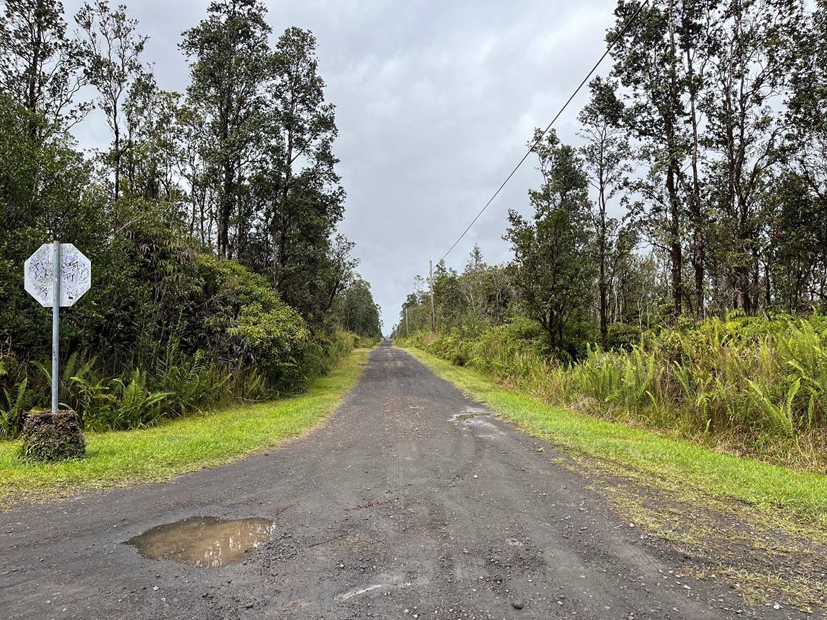 50 Kaleponi Road Pahoa, HI 96778 - Photo 4 of 8 a view of a street view