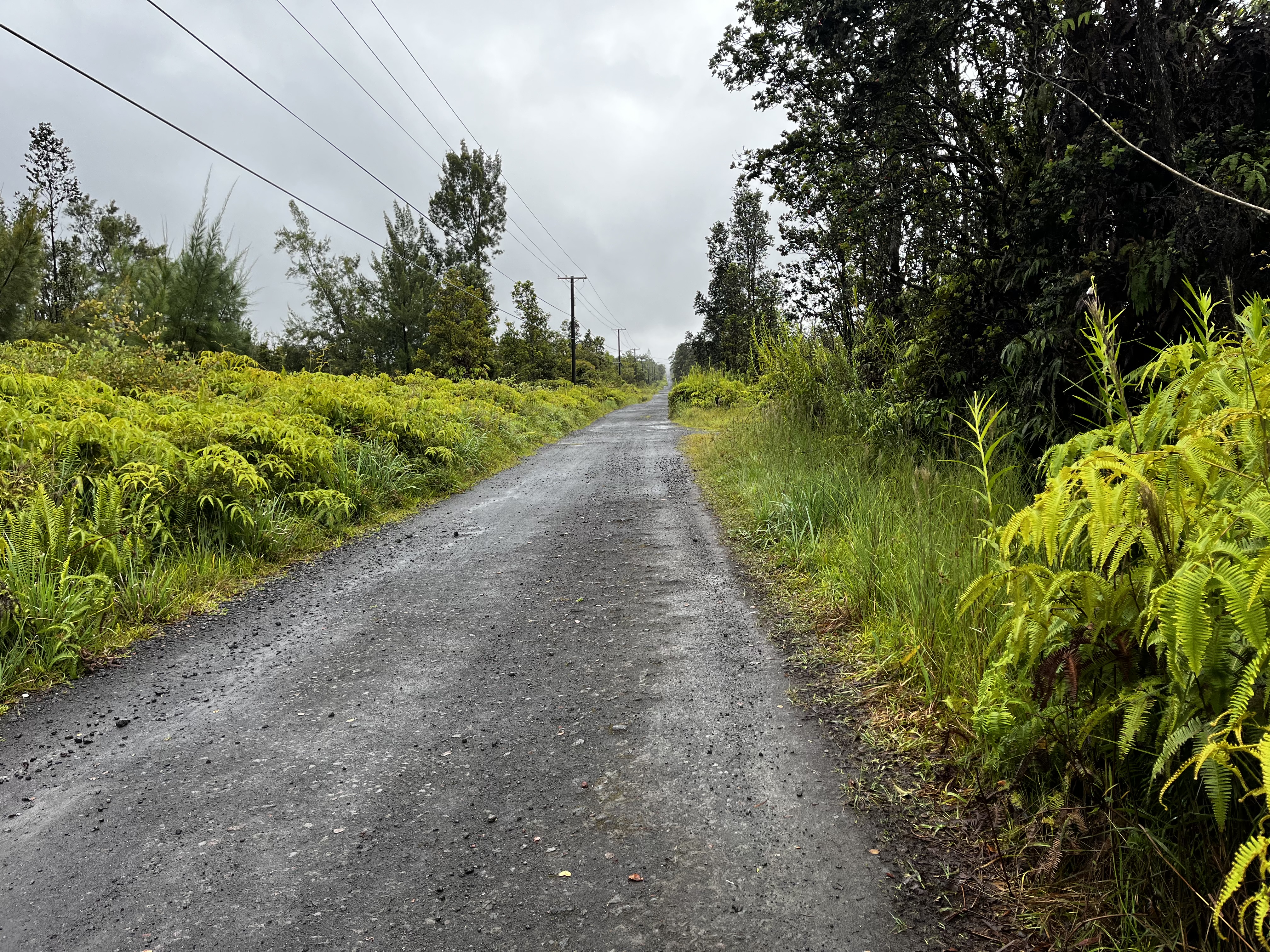 50 Kaleponi Road Pahoa, HI 96778 - Photo 7 of 8 a view of a garden with plants