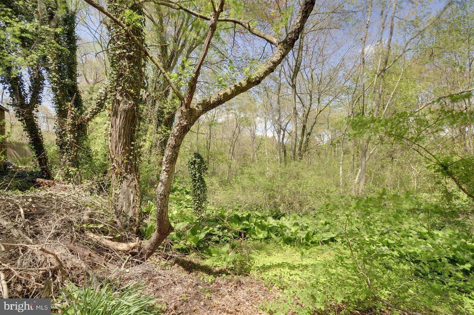 103 West Millstream Road Cream Ridge, NJ 08514 - Photo 33 of 40