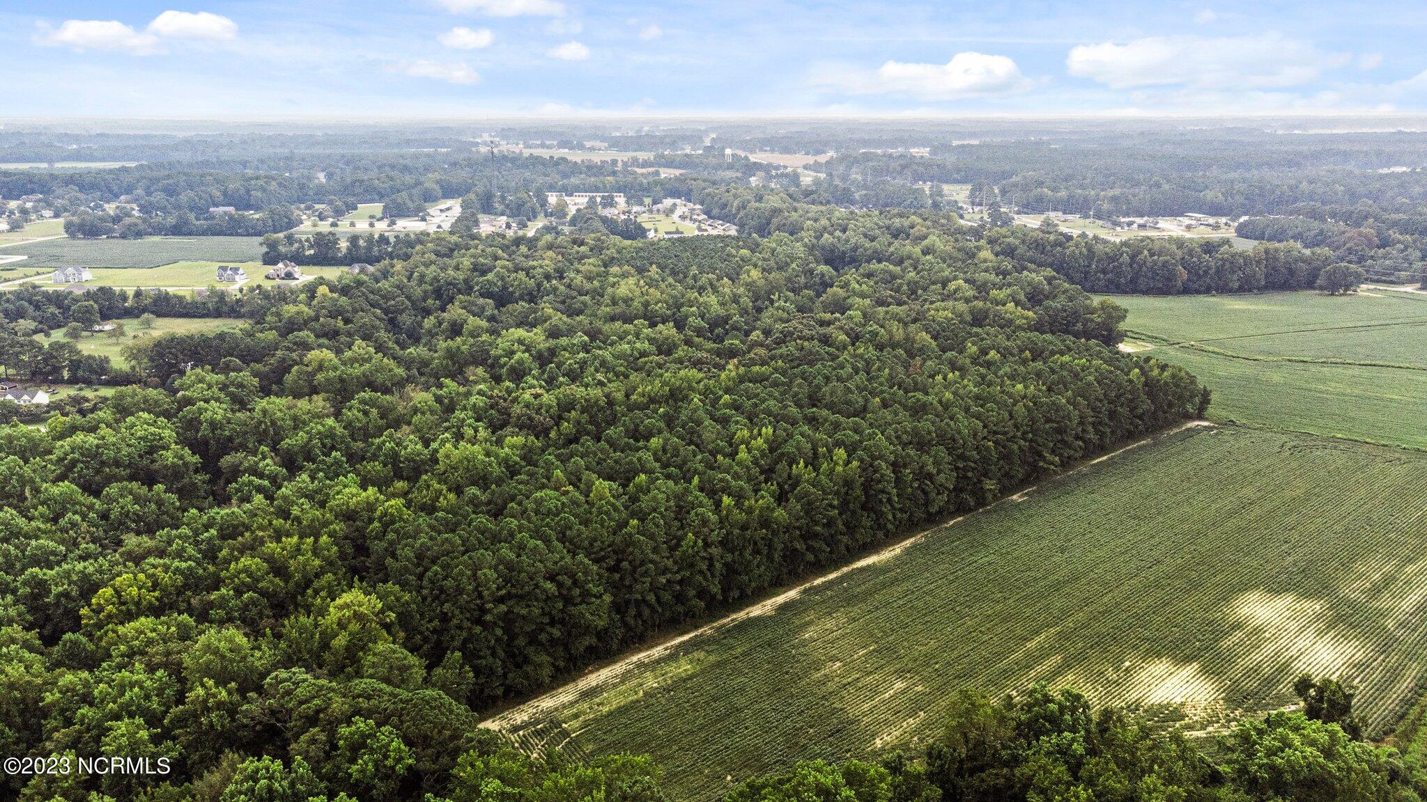 0 Nc 43 Street Pinetops, NC 27864 - Photo 12 of 16 5-web-or-mls-DJI_0085
