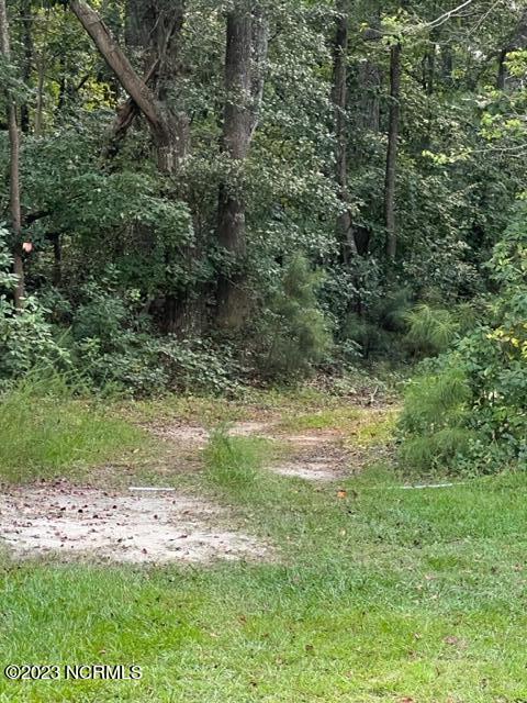 0 Nc 43 Street Pinetops, NC 27864 - Photo 3 of 16 IMG_5233