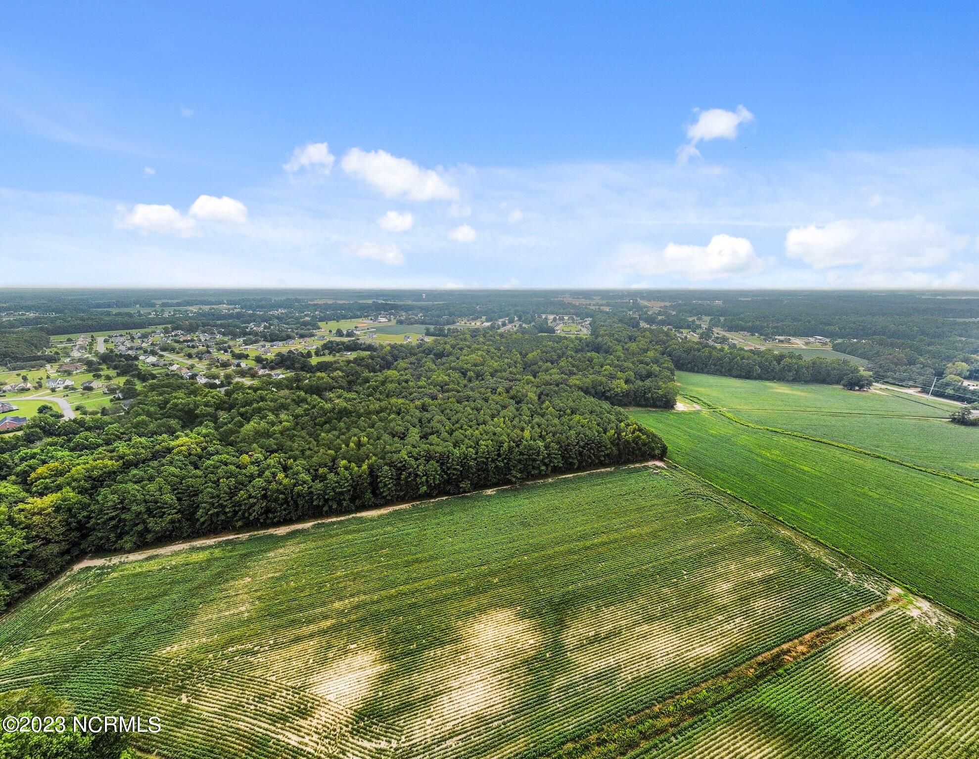 0 Nc 43 Street Pinetops, NC 27864 - Photo 6 of 16 11-web-or-mls-dji_fly_20230822_151318_84
