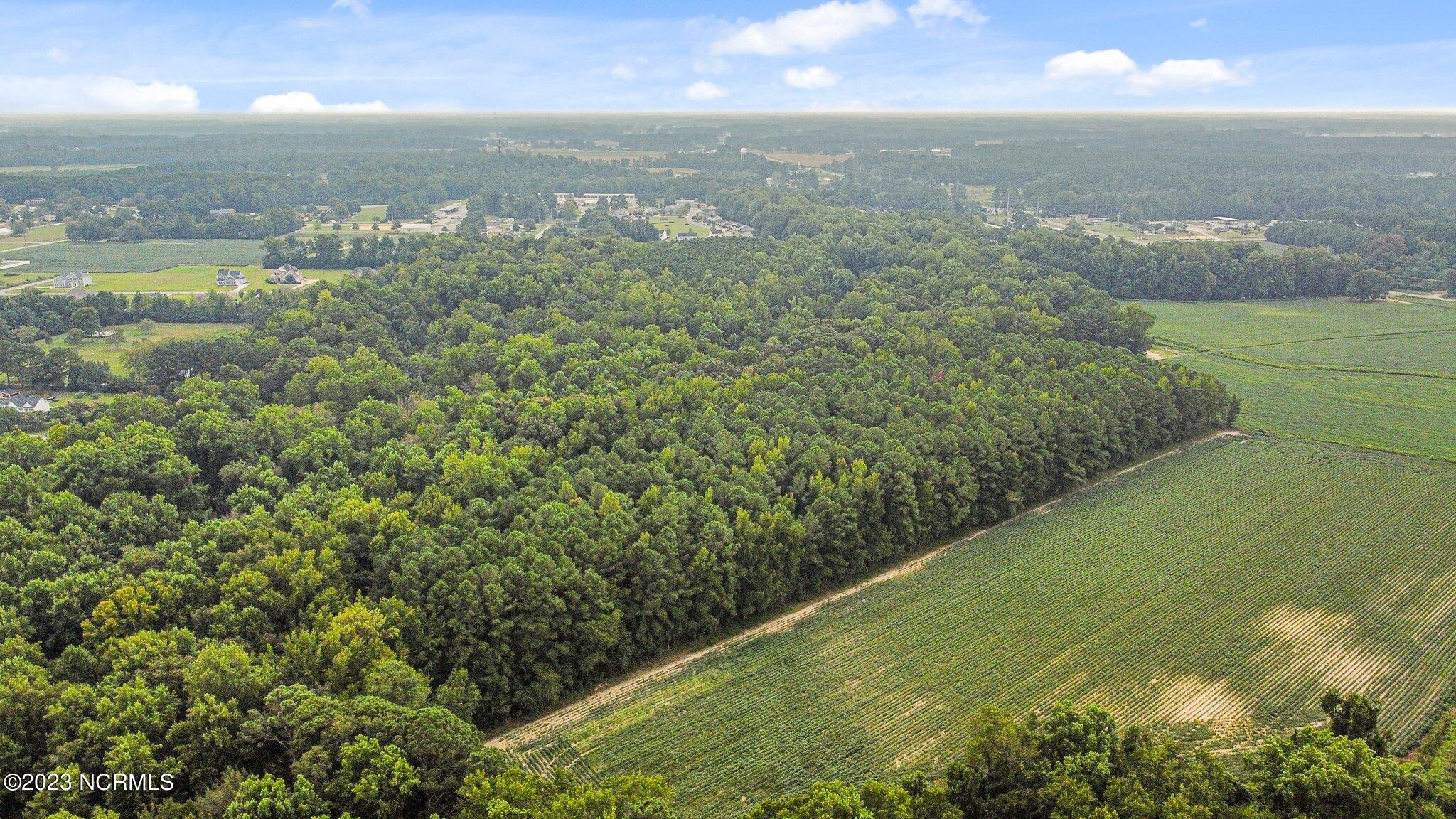 0 Nc 43 Street Pinetops, NC 27864 - Photo 7 of 16 12-web-or-mls-dji_fly_20230822_151438_85