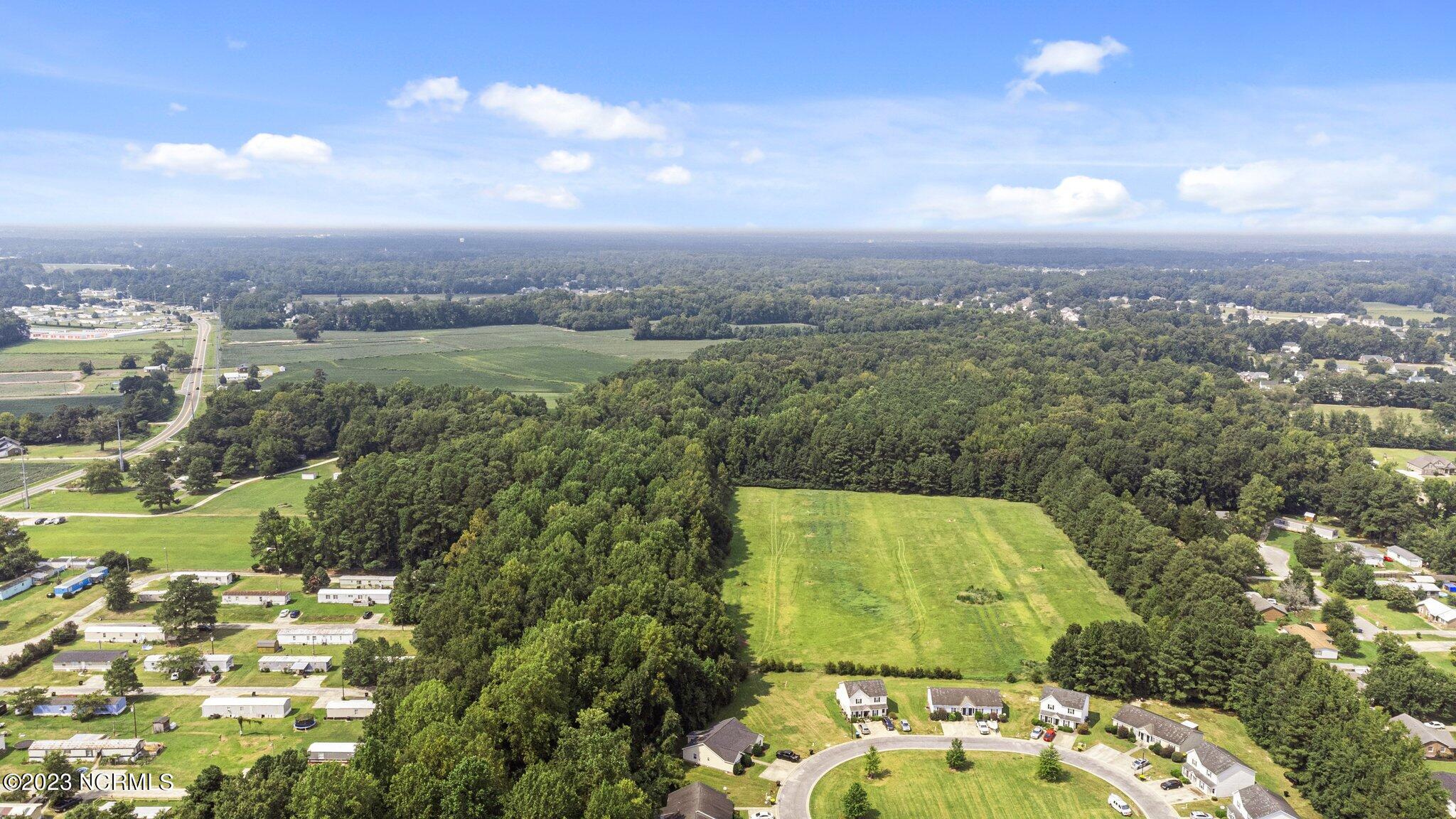 0 Nc 43 Street Pinetops, NC 27864 - Photo 8 of 16 1-web-or-mls-DJI_0073