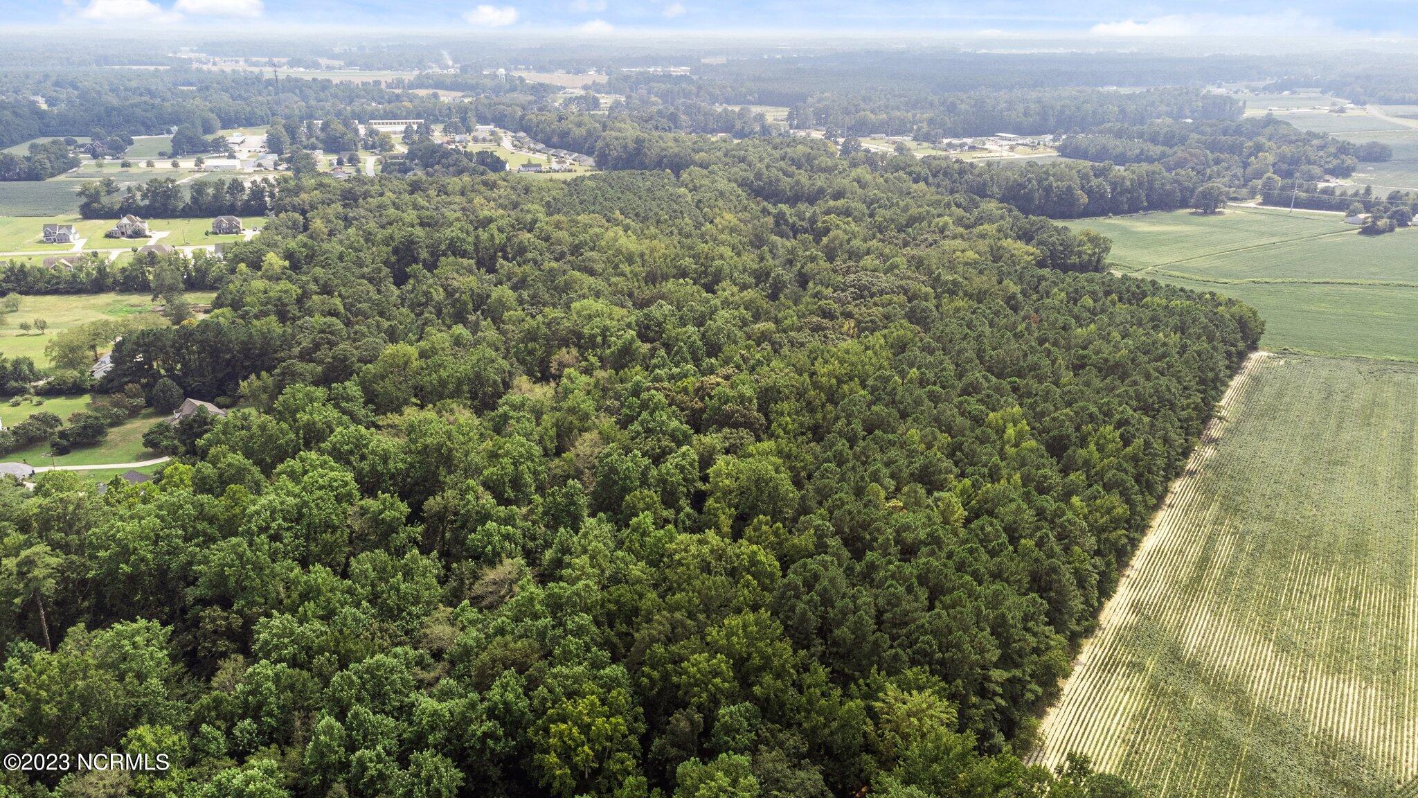 0 Nc 43 Street Pinetops, NC 27864 - Photo 10 of 16 3-web-or-mls-DJI_0077