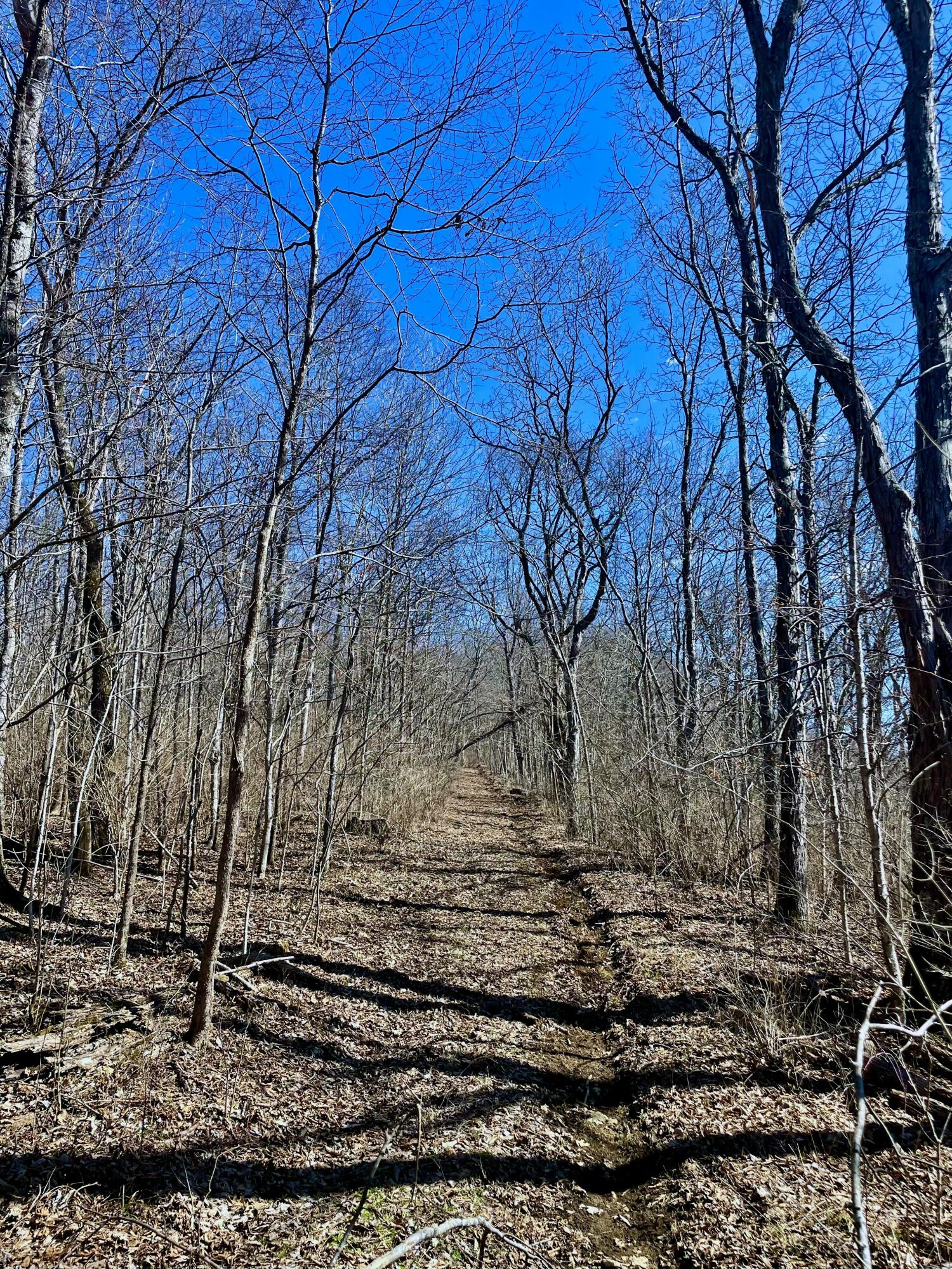 45-ac Ridge Road Flemingsburg, KY 41041 - Photo 10 of 16 tempImageYGEOqq