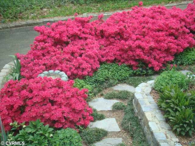4515 Butte Road Richmond, VA 23235 - Photo 6 of 15 a view of a flower arrangement in backyard
