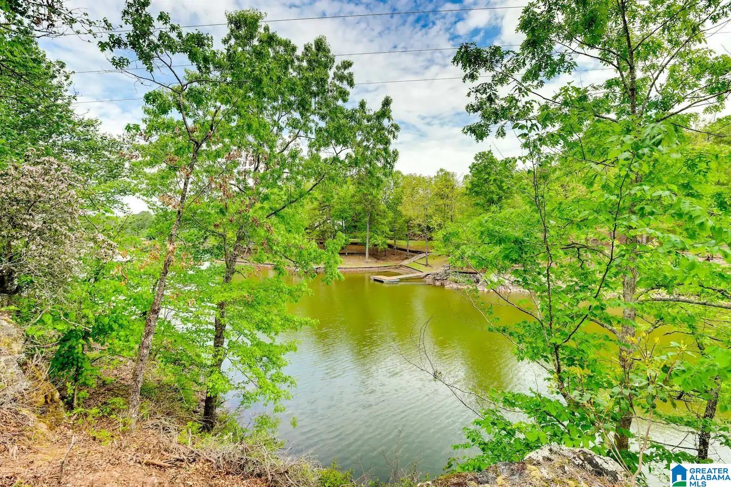 421 Point View Roanoke, AL 36274 - Photo 42 of 45