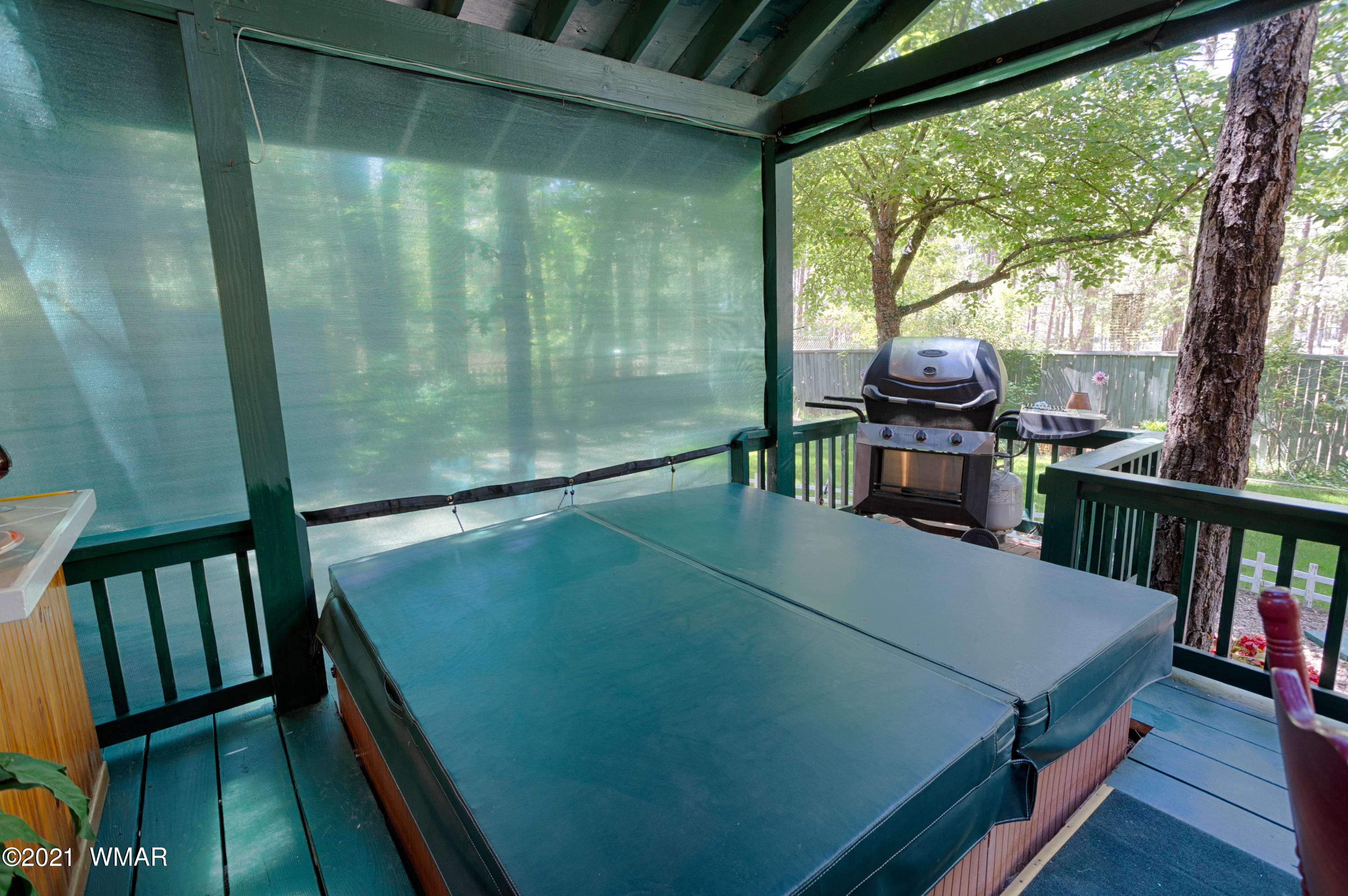 2556 West Rim Road Lakeside, AZ 85929 - Photo 20 of 29