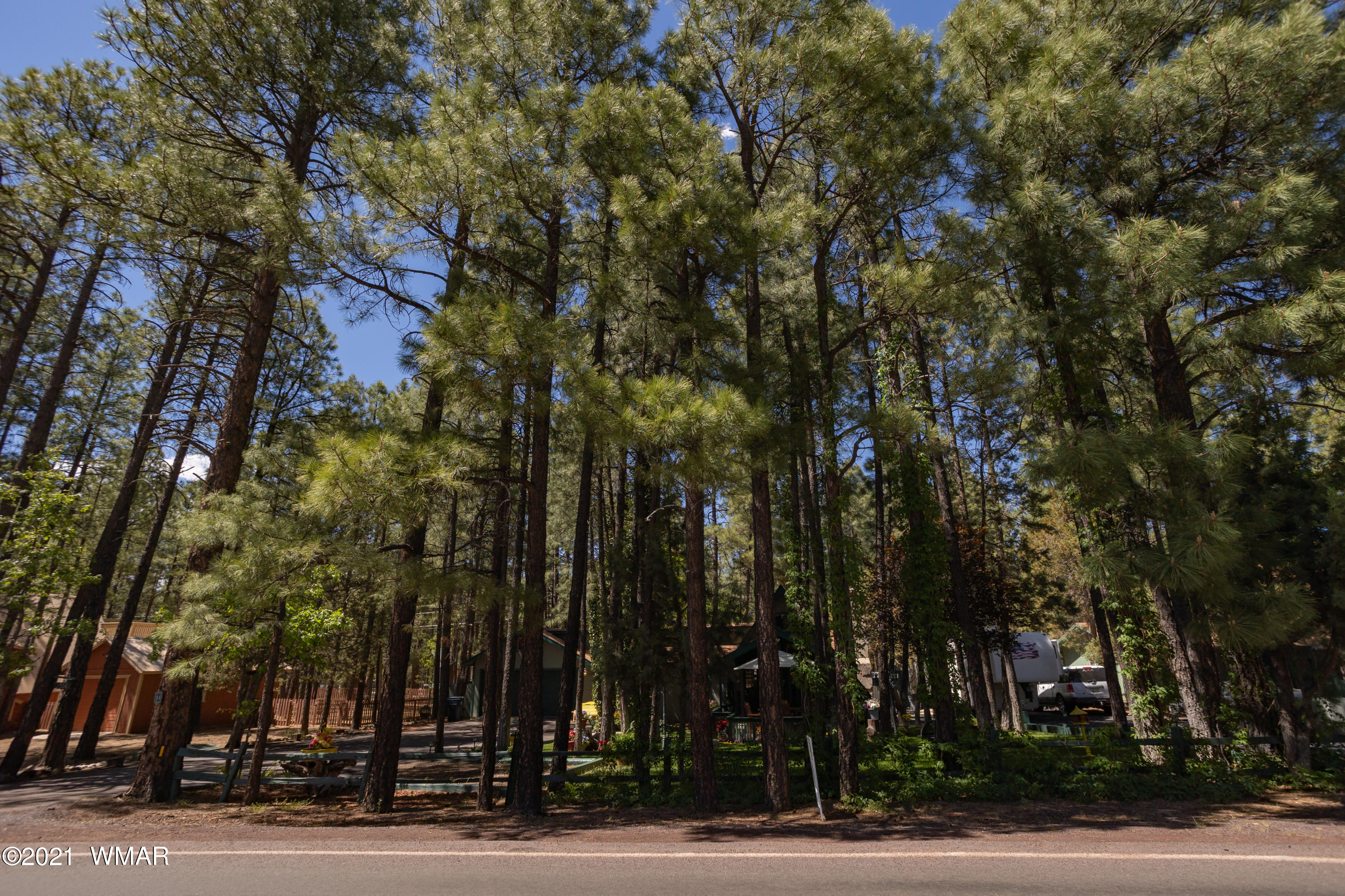 2556 West Rim Road Lakeside, AZ 85929 - Photo 26 of 29