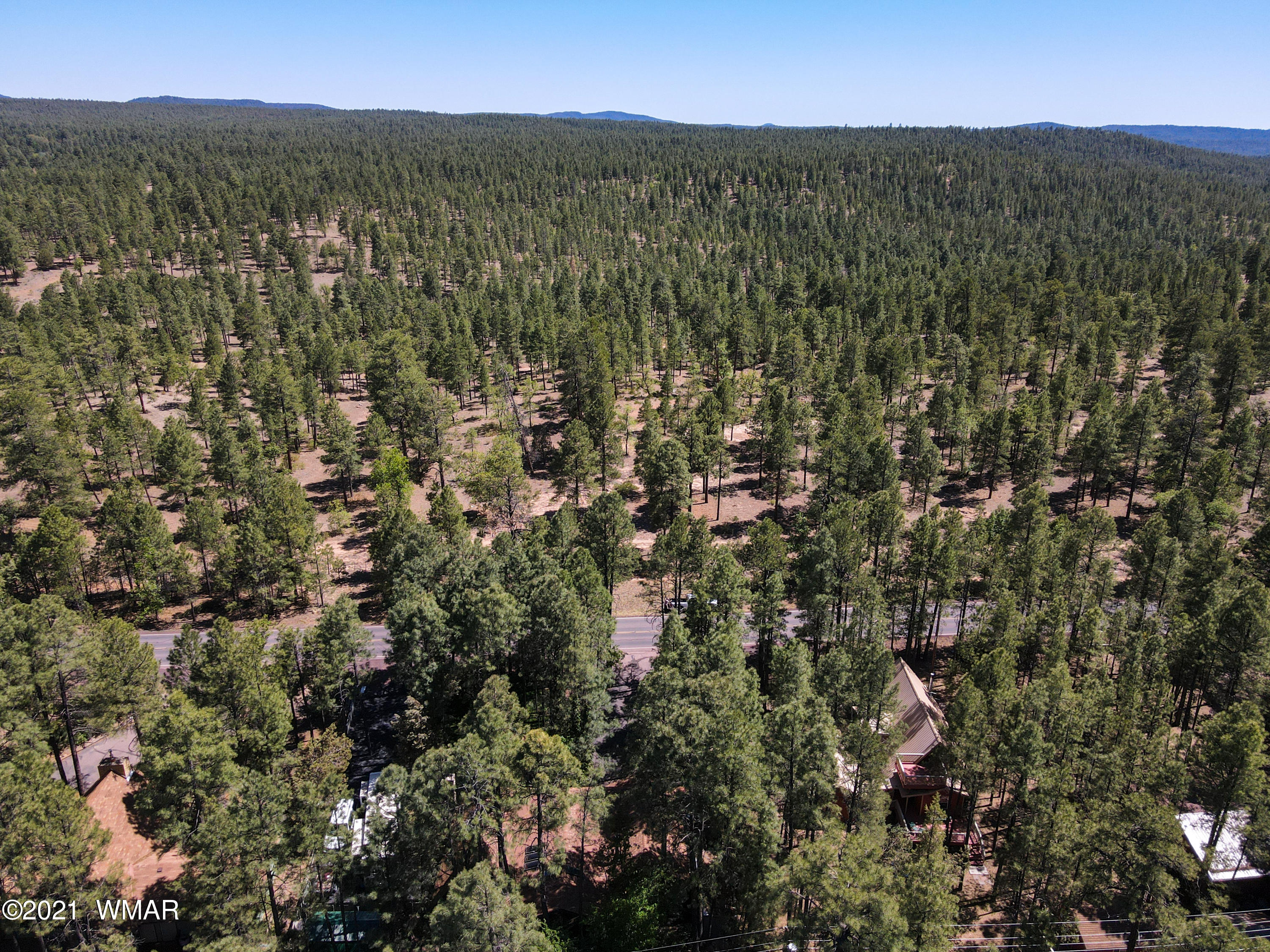2556 West Rim Road Lakeside, AZ 85929 - Photo 29 of 29