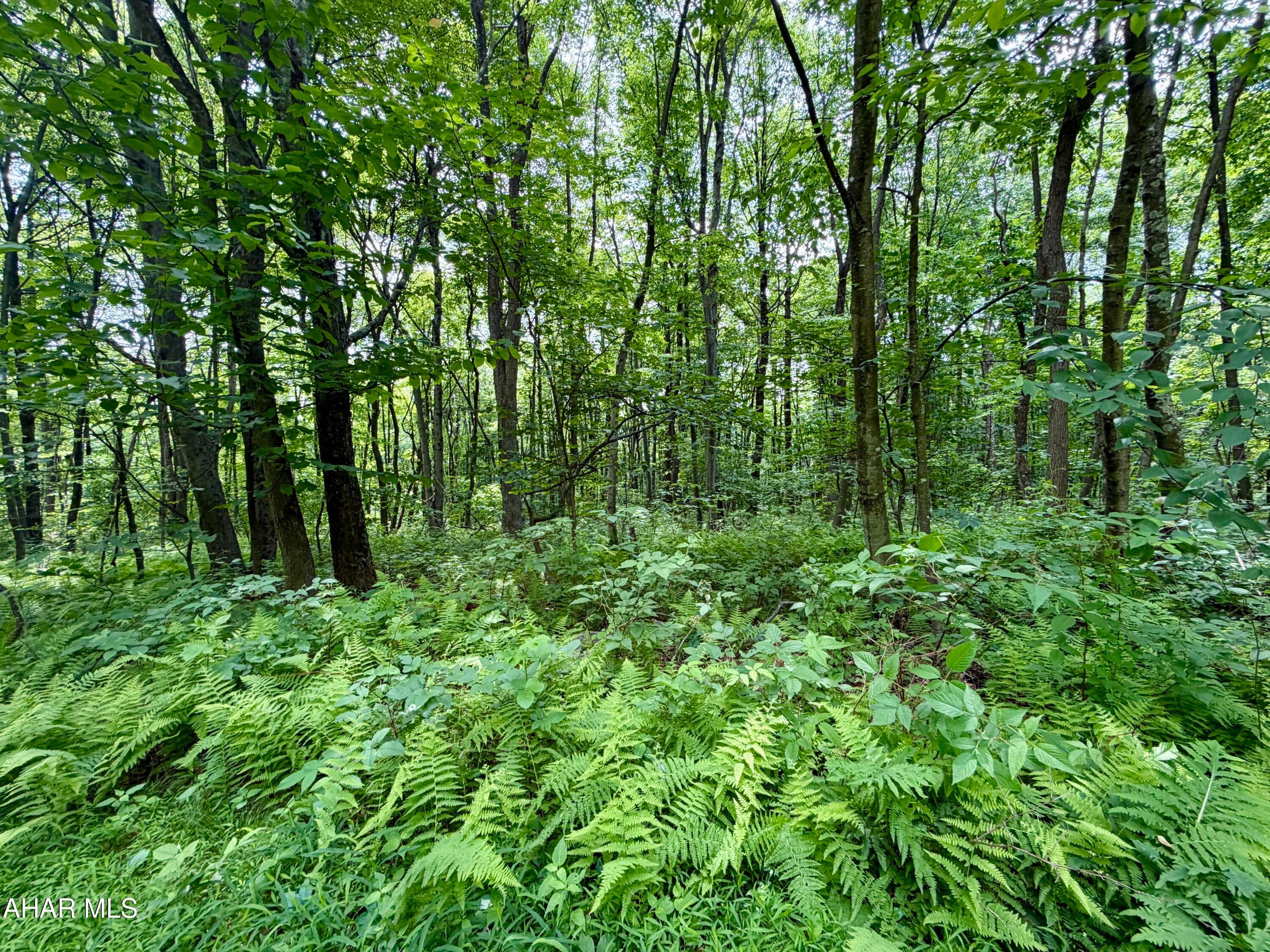 190 Thunder Rock Road Crystal Spring, PA 15536 - Photo 25 of 26 Gallery Image 25
