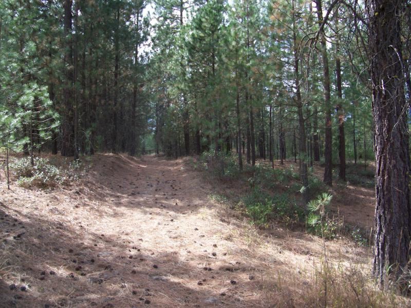 1230 South Aspen Ridge Road Kettle Falls, WA 99141 - Photo 4 of 5 Gallery Image 4