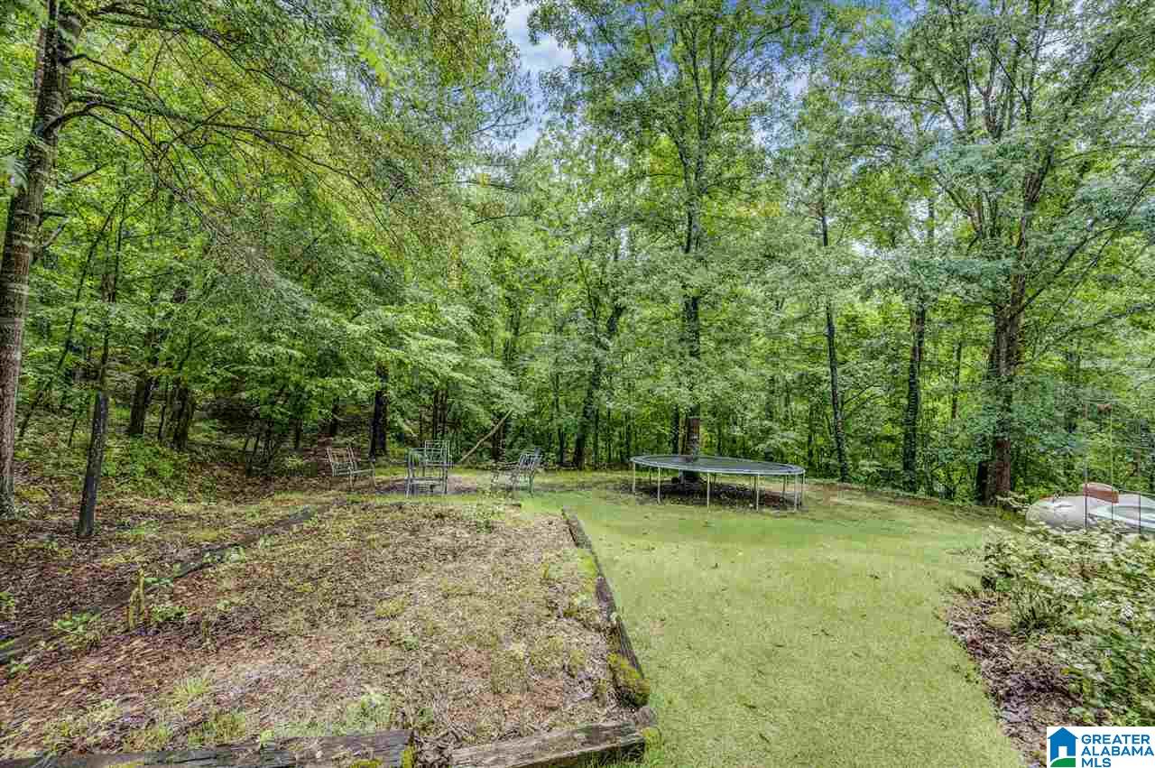 1605 Sagefield Road Warrior, AL 35180 - Photo 14 of 43