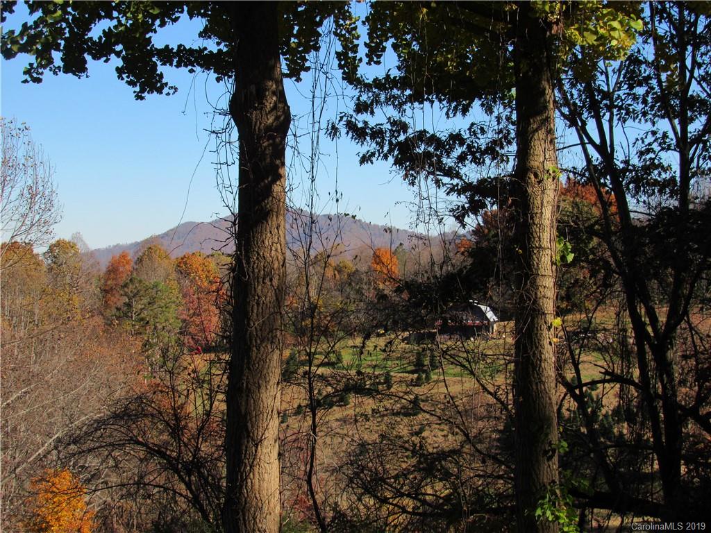 269 Sunset Ridge Road Clyde, NC 28721 - Photo 8 of 41