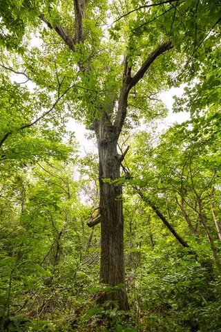 $115,440 | 13 Hwy Highway, Higginsville, MO 64037